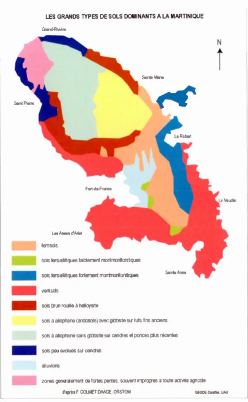 Figure  2.9  :  Grands  types de  so l s  dominants  à  la  Martinique 