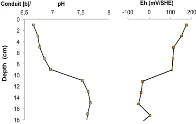 Table	SI5.	Only	for	the	Conduit	sediments	a	complete	vertical	profile	could	be	made.	For	429	