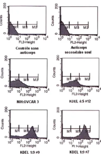 Figure 10  : Mesure de la quantité de la glycoprotéine CD44  membranaire dans les  différents  clones  par cytométie de flux