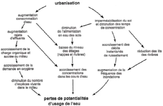 Figure 1.1 Impact de l’urbanisation sur les milieux hydriques (tiré de : MELCC, s. d.) 