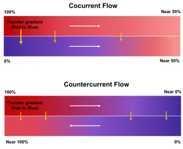 Figure I.VI A comparison of the effects of a cocurrent (upper) and a countercurrent (lower) flow on exchange 