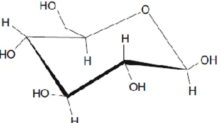 Figure 1. Structure chimique du glucose adaptée de Bulian et Graystone (2009).  La paroi cellulaire est formée des microfibrilles susmentionnées entourées de lignine
