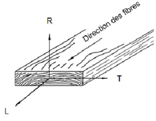 Figure 4. Schéma montrant les principaux axes concernant la direction des fibres et les  cernes annuels (adapté de David W