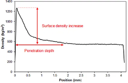 Figure 7. Example of an X-ray density profile of a Yellow birch sample after impregnation