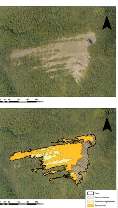 Figure  3.4:  Exemple  de  la numérisation effectuée  sur chacun des  43  talus  d'éboulis  identifiés dans les vallées de la Gaspésie septentrionale (site V21 )
