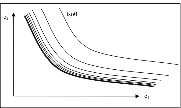 Figure 3.11 : Forme des iso- θ  dans le cas d’une progression « rapide » des dommages.