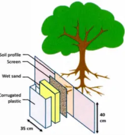 Figure 2.2: Experimental set up of the growth chamber installed at the base of each tree  to 1neasure fine  root daily production