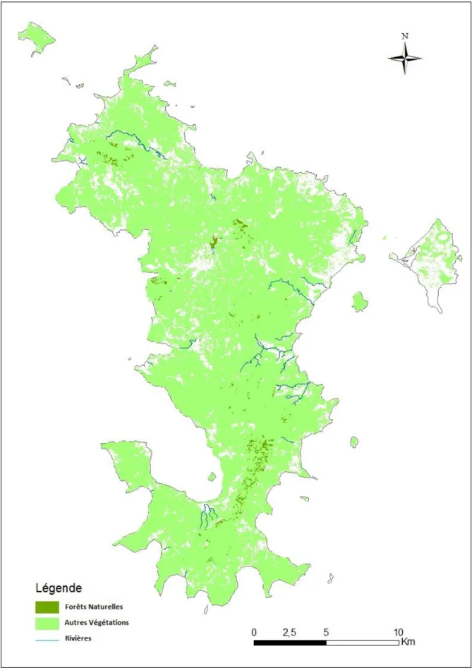 Figure 3: Représentation de la végétation à Mayotte 