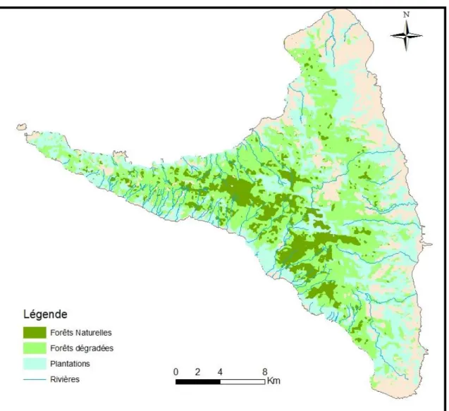 Figure 6: Représentation de la végétation à Anjouan 