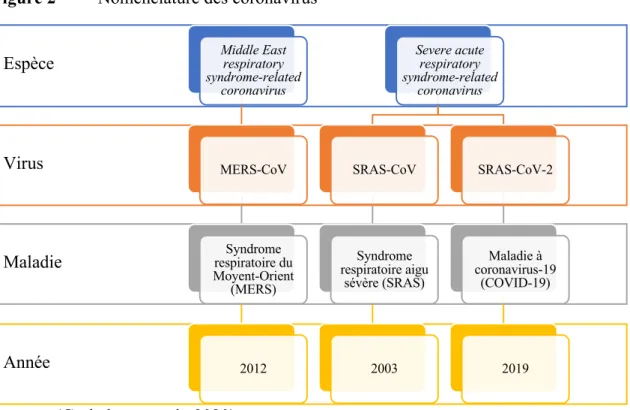 Figure 2  Nomenclature des coronavirus 