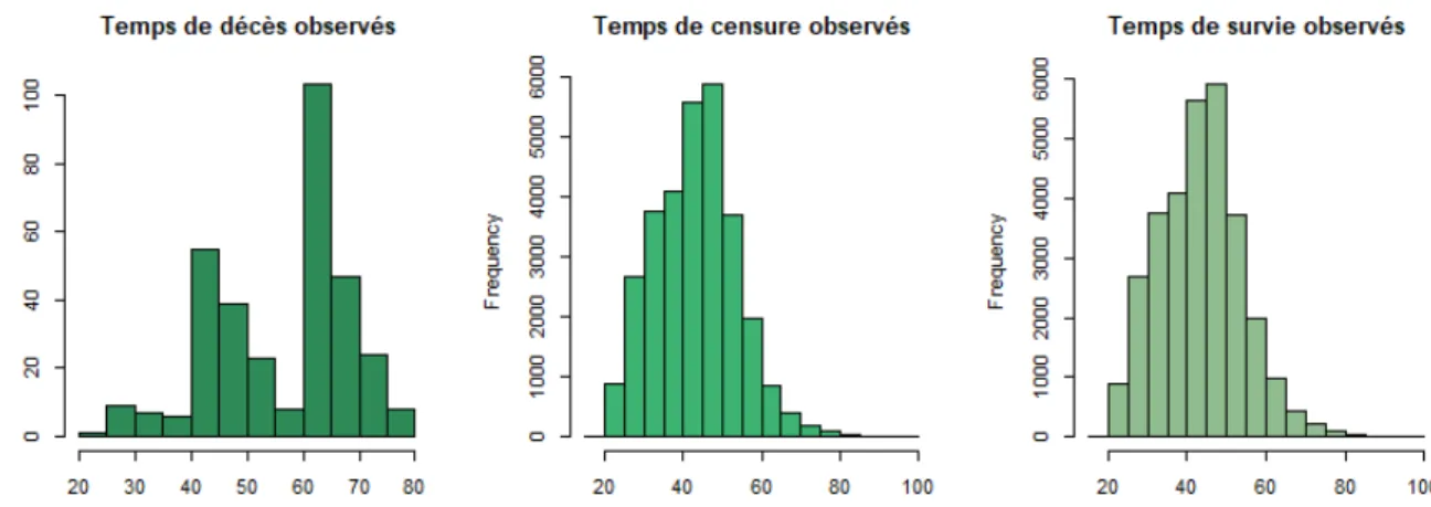 Figure 5.6: (De gauche à droite) Temps de décès, temps de censure et temps