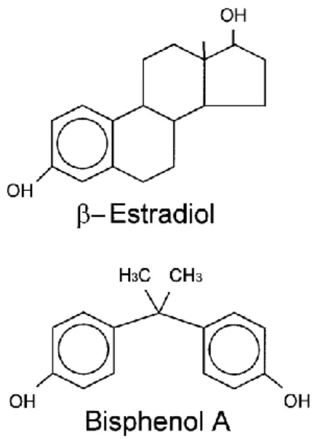 Figure 2 : Structure chimique de l’estradiol et du BPA. 