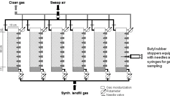 Fig. 1. Setup of the first laboratory column study using mineral soils.