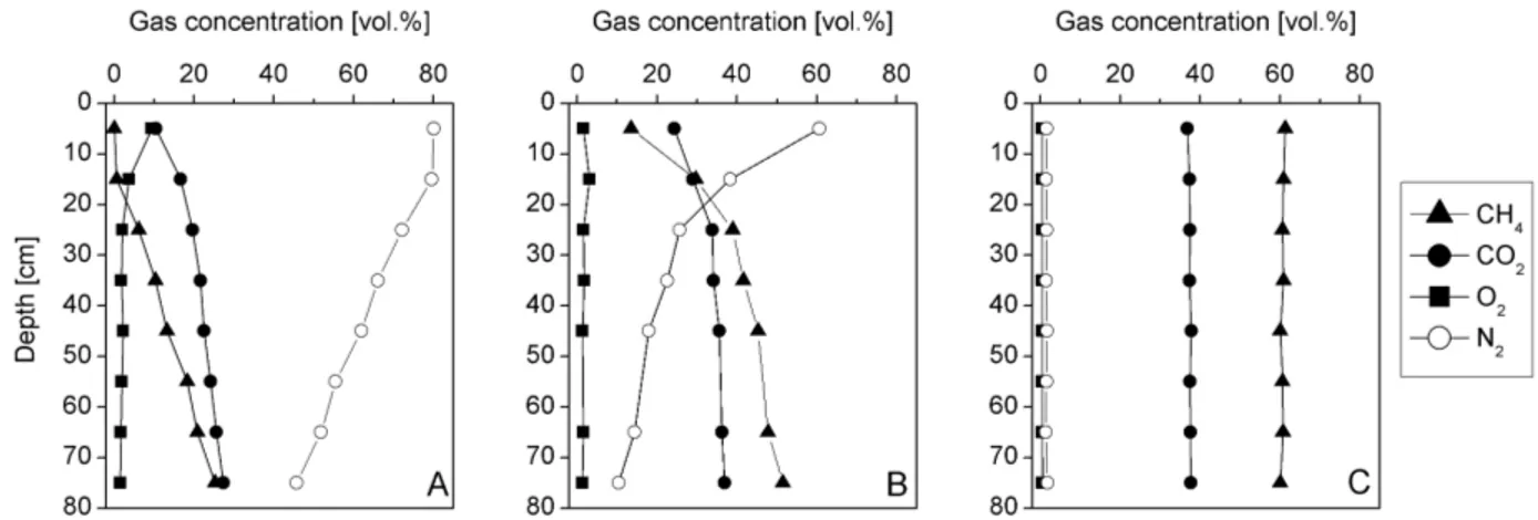 Fig. 3. Three exemplary soil gas profiles from the laboratory column study.  A = column 1 (20.10.2007, 