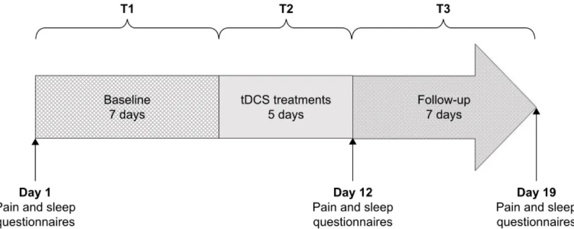 Figure 1 The study lasted 19 days and was divided into 3 phases: T1 (baseline), T2 (tDCs treatments) and T3 (follow-up)