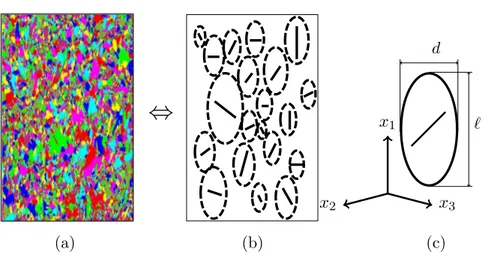 Figure 4.3: Schematic geometry of the SSC model: (a) Perfectly disordered mixture of the grains, being similar with the real morphological texture in polycrystals