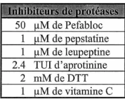 Tableau 2  - Cocktail  d'inhibiteurs de  protéases utilisés  dans  la préparation des  fractions  microsomales cardiaques humaines, ovines et canines