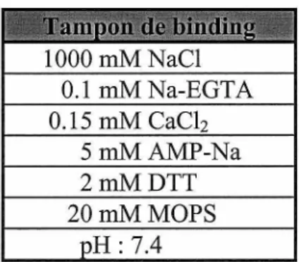 Tableau 3 - Composition du tampon de « binding » utilisé lors des expériences de liaison  à la [ 3 H]-ryanodine