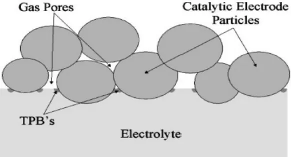 Figure 1.2: Schéma simplifié de l'interface électrode-électrolyte dans une pile à combustible,  illustrant les zones de la réaction TPB [27]