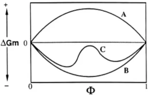 Figure 1.12: Schématisation de l’énergie de mélange des systèmes binaires de polymères  selon leurs compositions [65]