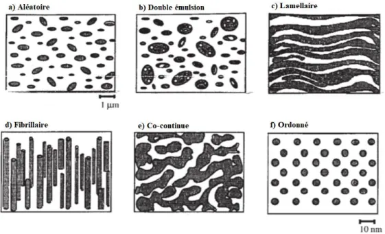 Figure 1.13: Illustration des différentes morphologies pour les systèmes binaires de  polymères [69]