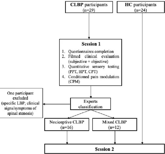 Figure 4. Representation of the study design. 