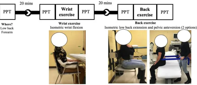 Figure 5. Representation of the second session experimental design. 