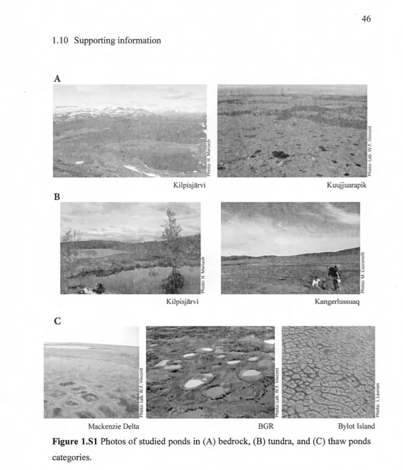 Figure 1.S1 Photos of studied ponds in (A) bedrock, (B) tundra, and (C) thaw ponds 