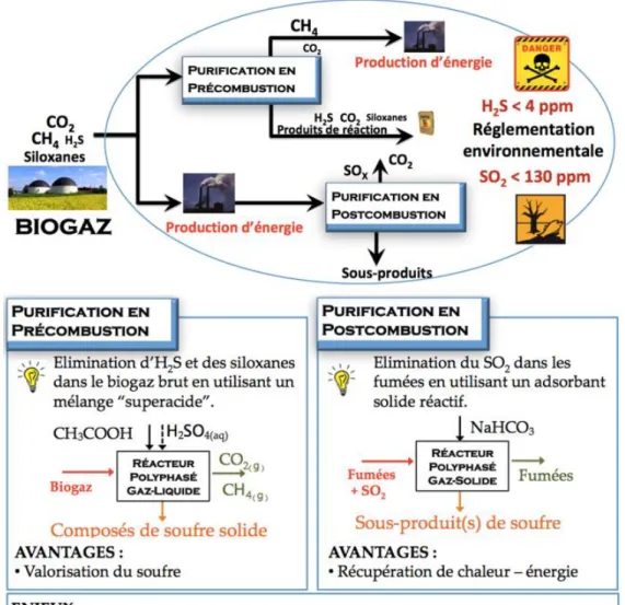 Figure I. Représentation schématique de l’étude de désulfuration du biogaz par les réacteurs polyphasés proposés  dans le cadre de cette thèse.