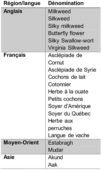 Table VI : Dénomination de la fibre d’asclépiade à travers le monde   Région/langue  Dénomination  Anglais  Milkweed  Silkweed  Silky milkweed  Butterfly flower  Silky Swallow-wort  Virginia  Silkweed  Français  Asclépiade de  Cornut  Asclépiade de Syrie  