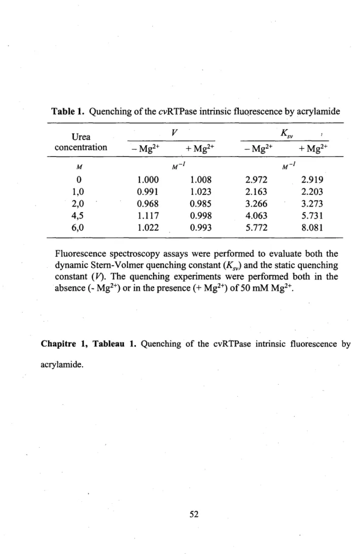 Table 1.  Quenching of the cvRTPase intrinsic fluorescence by acrylamide  Urea  concentration  M  0  1,0  2,0  4,5  6,0  -Mg 2+  1.000  0.991  0.968 1.117 1.022  V  M~  + Mg 2+ •l 1.008 1.023 0.985 0.998 0.993  -Mg 2 + 2.972 2.163 3.266 4.063 5.772  K sv M