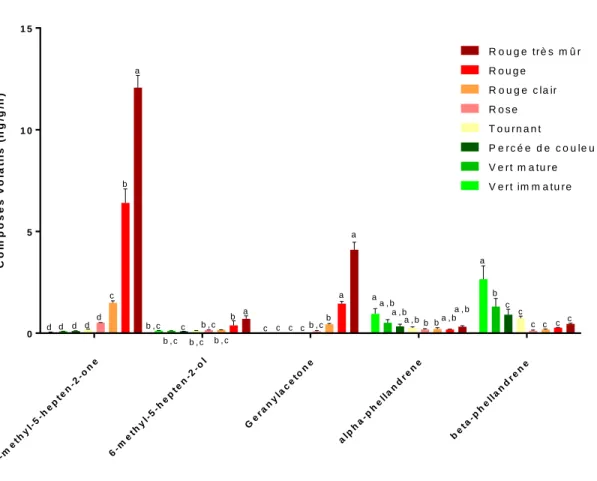 Figure 11 : Quantité des composés volatils issus des terpènes émis dans  les fruits  de la tomate cv