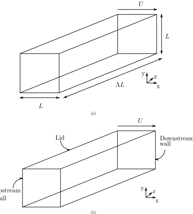 Figure III.1: (a) Sketch of the computational domain considered. (b) Nomenclature used to refer to the diﬀerent walls of the cavity.