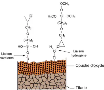 Figure 1:6: Chimisorption du primaire à la surface de l'oxyde soit par liaisons covalentes ou liaisons hydrogènes