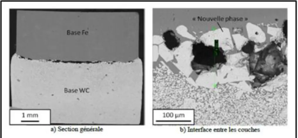Figure 5: Micrographies du bi-matériaux base Fe/base WC après un frittage à 1300°C 