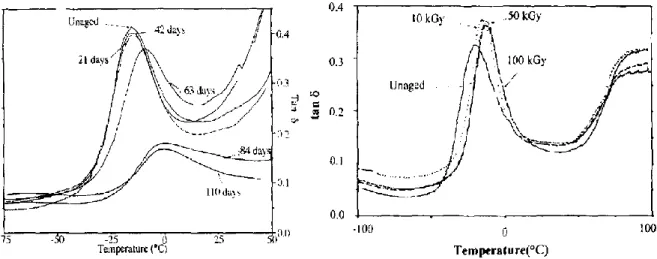 Figure 1-24: Variation of tan δ for a crosslinked EPDM aged thermally in air at 135°C (left) and  radiochemically under 0.1kGy/h in air at 90°C (right)  [139] 