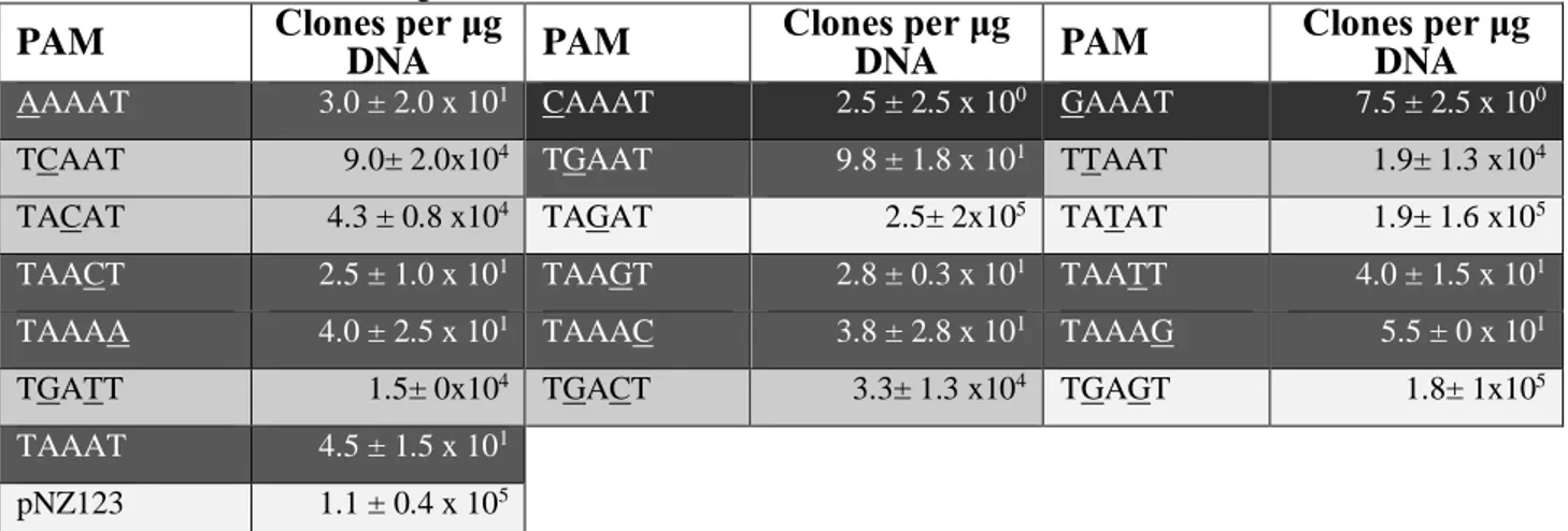 Table 4: Plasmid interference assays to determine the PAM. Modified nucleotide of PAM is underlined