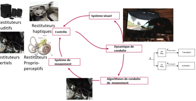 Fig. I-5. : Structure du simulateur dynamique (SAAM) contrôle en boucle fermée.  $