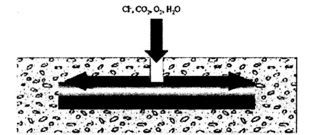 Figure 2.15 : Infiltration des ions agressifs par le joint de chaussée ou une fissure [Park et al., 2008) 