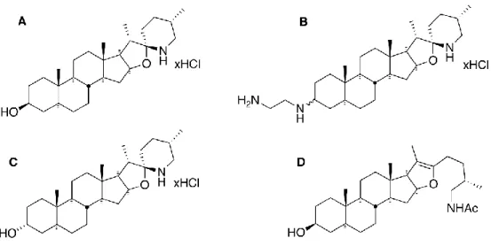 Figure 1. Structures of TO and analogs used in this study. 
