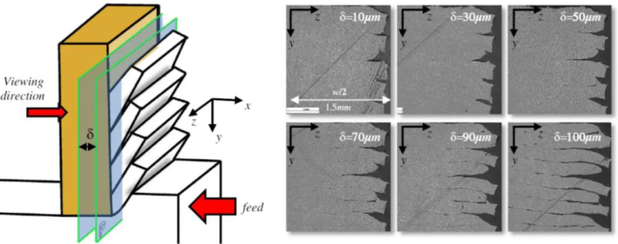 Figure I-11 : Coupes transversales  dans le sens de la largeur des copeaux.  (Pottier, et al., 2014a)