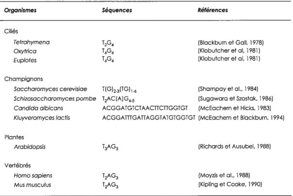 Tableau 1. Comparaison de la nature des répétitions télomérlques chez différents organismes