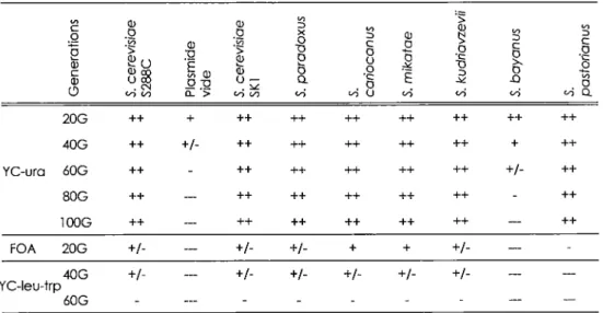 Tableau 3.  Complémentatlon des homologues de TLCl  dans la souche  S.  cerevisiae S288C