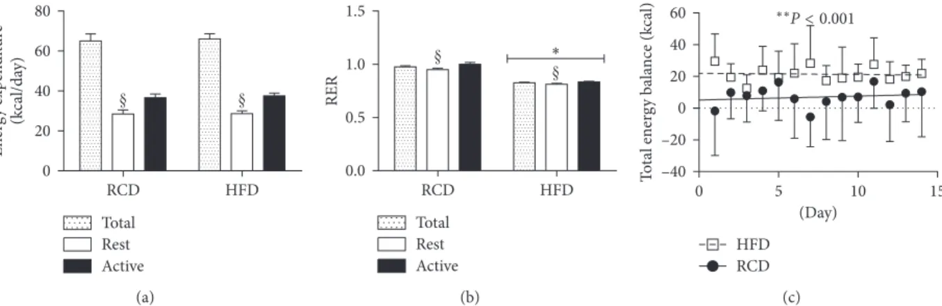 Figure 3: Energy expenditure (a) respiratory exchange ratio (RER) (b) and total energy balance (c) values in young rats submitted to HFD or RCD for 14 days