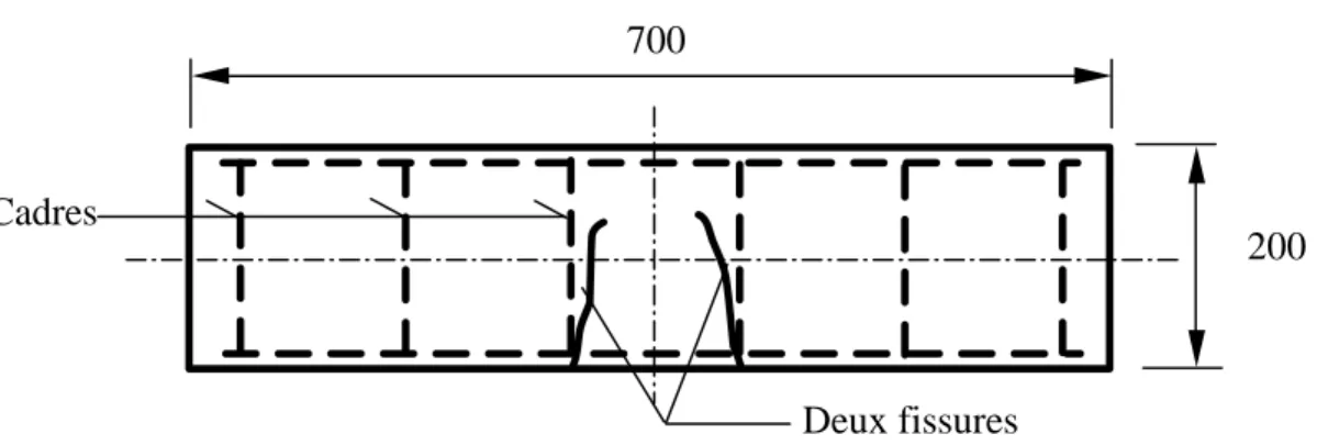 Figure II-4.1 Schématisation des deux fissures symétriques au niveau des cadres 