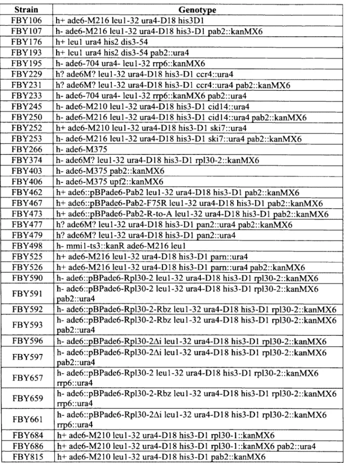 Table S 4. List of S. pombe strains used in this study