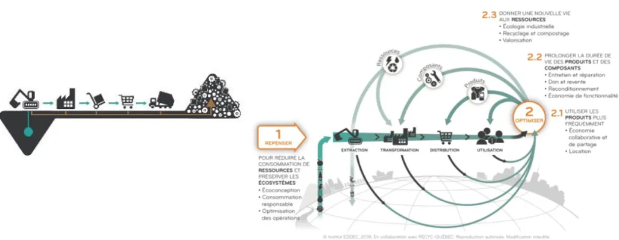 Figure 2 : Modèle linéaire versus Modèle circulaire  
