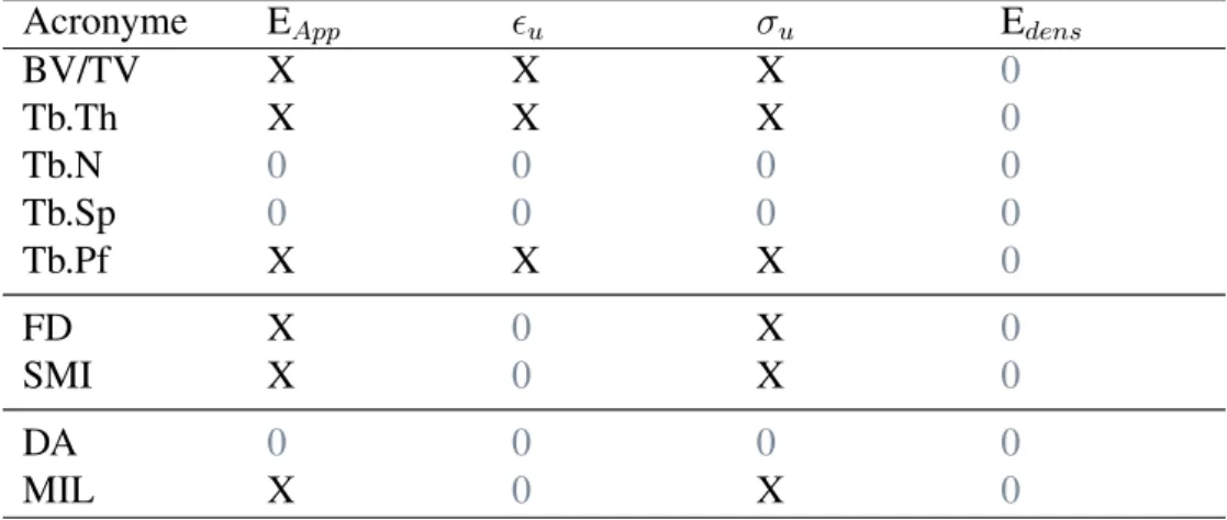 Tableau 2.7. – Corrélations non-exhaustives entre les paramètres de structure et la réponse mécanique de l’os spongieux sur une grande place de vitesse de déformation ( Halgrin, 2009 ),