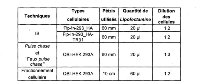 Tableau 3.3 Conditions experimentales des transfections transitoires a la Lipofectamine 2000