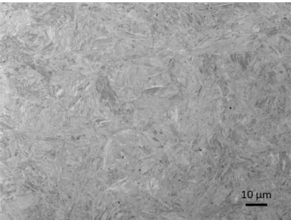 Figure 3.1 – Micrographie au microscope électronique à balayage par électrons rétrodiffusés de l’acier 33CrMoV12-9 avant nitruration.